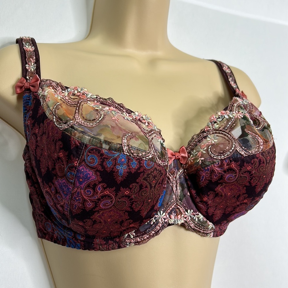 Dalia embroidered lace mesh boho underwire bra